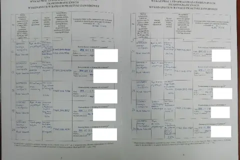 Jak wypełnić dziennik praktyk zawodowych? Poradnik i klucz do kariery