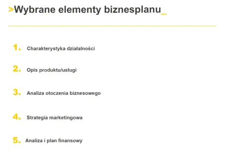 Wybrane elementy biznesplanu: charakterystyka, opis produktu, analiza otoczenia, strategia marketingowa, analiza finansowa.